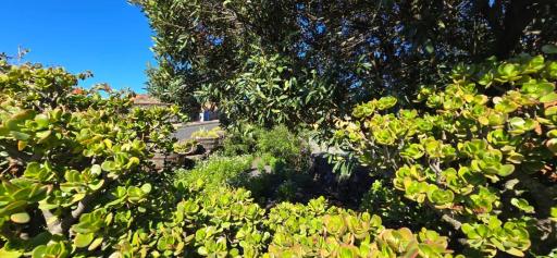 Vivienda Vacacional El Lagar, Bodega A - Housity