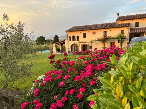 Podere agli Arrighi - Housity