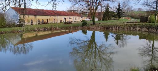 Au repos du Lezard - Housity