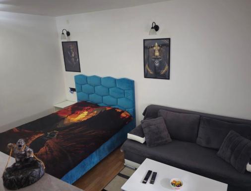 Gorila 1 - Housity