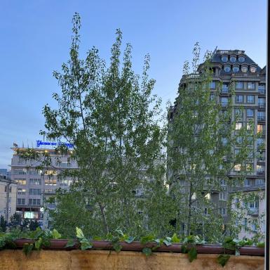 Old City Guesthouse Ulaanbaatar - Housity