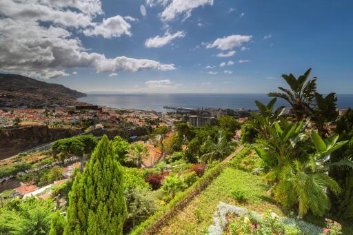 Quinta Funchal Gardens - Adults Only - Housity