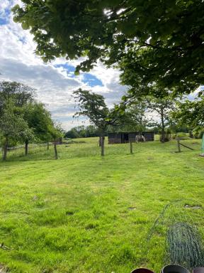 Studio au bord de la forêt de Perseigne - Housity