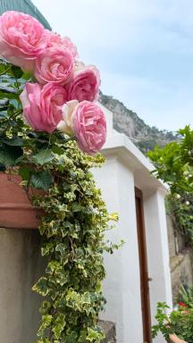Il Cigno B&B - Hizvo
