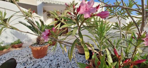 Villetta Lorena a Mancaversa - Housity
