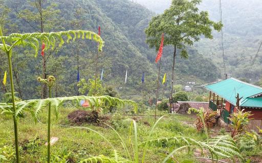 Bamboo Nest Homestay by StayApart - Housity