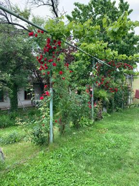 Hotel Villa DavidL - Housity