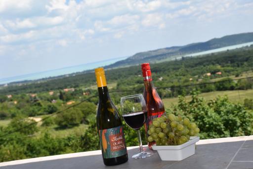Fishing & Golf Kisleshegy Balatonudvari Vendégház - Housity