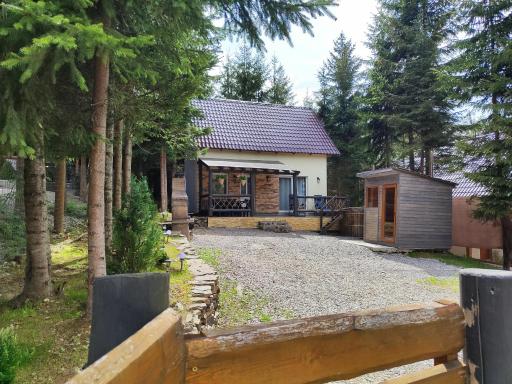 Woodland house - Housity
