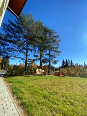 3 Sosny Apartments - Housity
