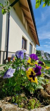 Noclegi u Babci Gieni - Housity