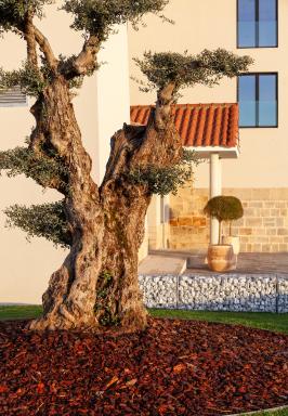 HOTEL RURAL FINCA LA DESA - Housity