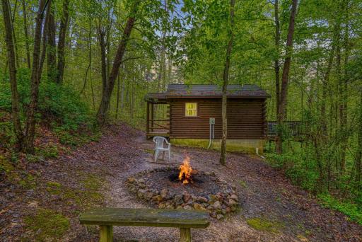 Blue Rose Cabins - Wildwoods Cabin - Housity