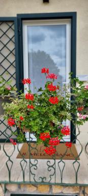 Il Melograno - Housity