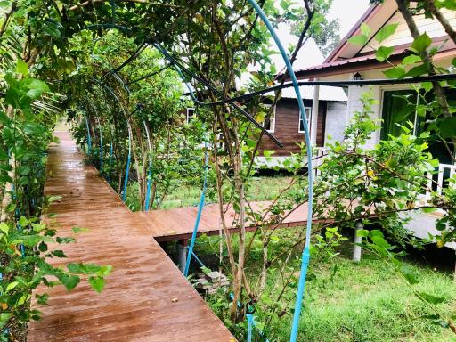 Baan Thung Home Stay - Housity