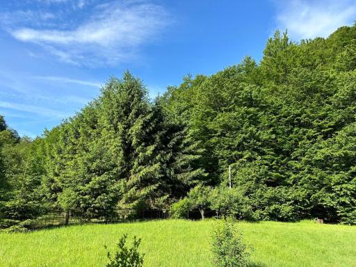 Cottage by the river Valea Draganului - Housity