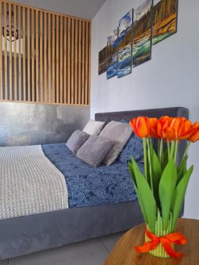 Apartament Górska Szarotka - Housity