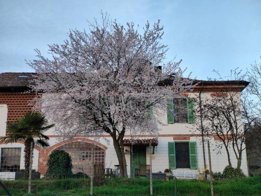 Cascina Patrizia - Hizvo