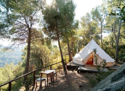 Forest Days - Housity