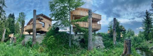 Wald ist Zukunft - Housity