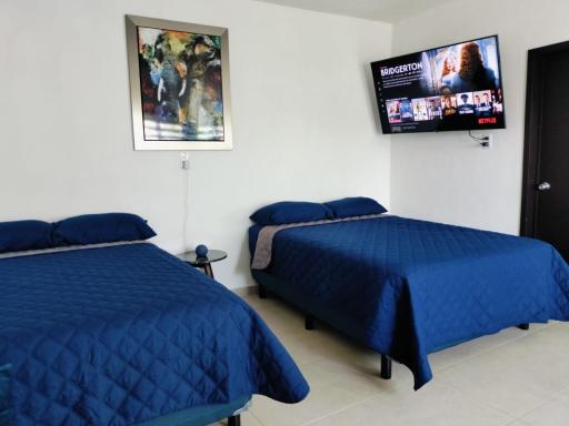 Suite Blu - Housity