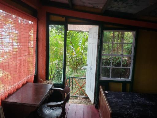 Blue Mountain Wilderness Retreat Jamaica House - Housity