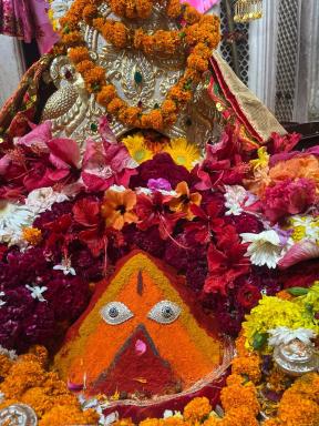 Hotel JAI MATA CHINTPURNI FAMILY HOTEL - Housity