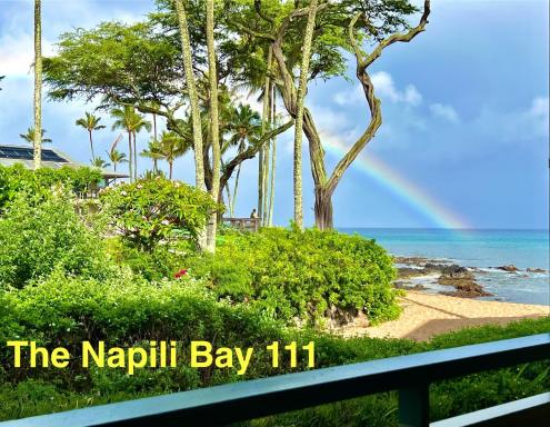 The Napili Bay 111 - Ocean View Studio - Steps from Napili Beach - Housity