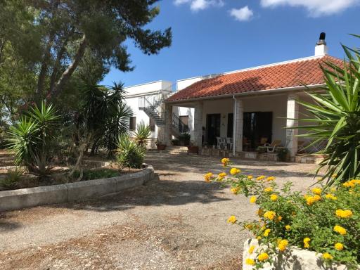 Cooee Surf House and hospitality - Housity