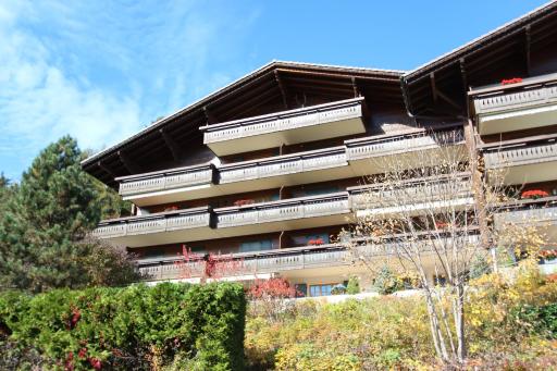 Forêt C2 - Housity