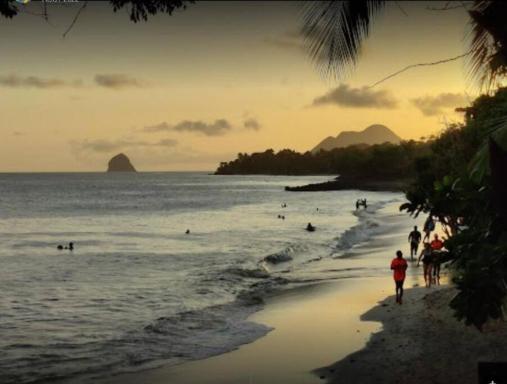 T2 ensoleillé Martinique - Housity