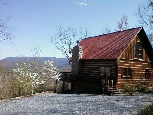 Lizard Lookout Cabin, Pets Welcome! - Housity