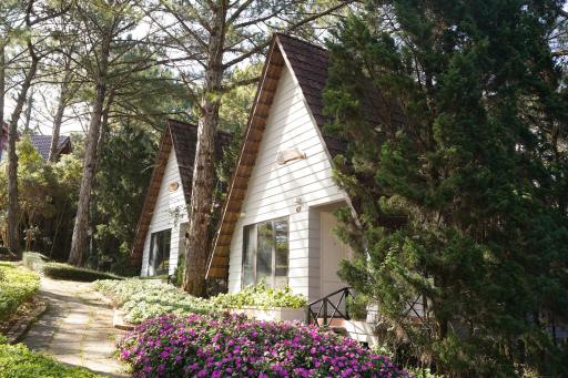 TTC Dreamy Hill Resort - Unlimited Access to TTC World - Thung Lung Tinh Yeu - Housity