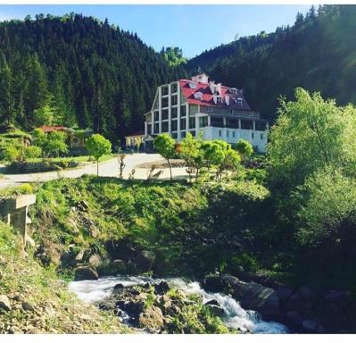 Hotel Green Valley Savsat - Housity
