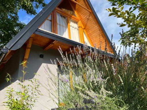 Petrovaradin Chalet - Housity