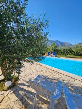 Quattro Olive - Housity