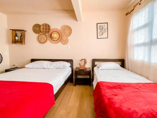 La Rosa Nautica Hostel - Housity