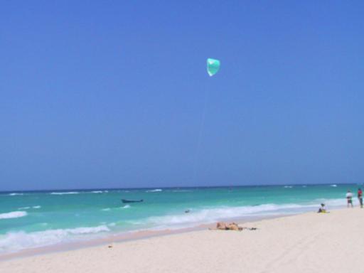 Ocean Bliss Apartments - Housity