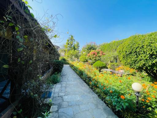 Travellers Jungle Camp - Housity