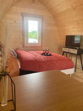 Coedydd - Woods - Housity