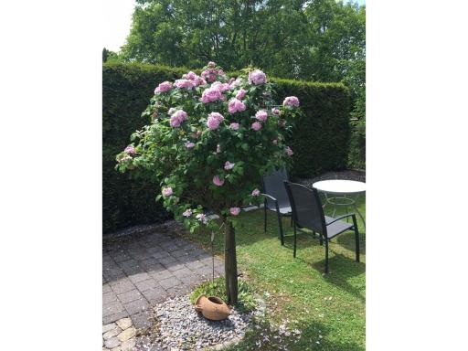 Ferienwohnung Kronengarten - Housity