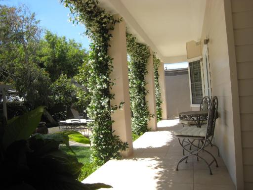 Beach Brezza Bella Boutique Bed and Breakfast - Housity