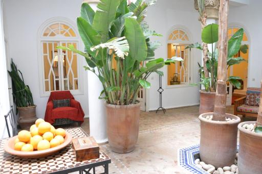 Dar Loulema - Housity