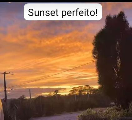 Container Bem-te-Vi! - Housity