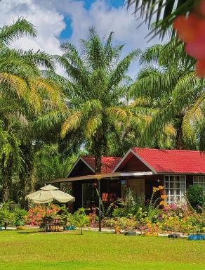 仙本那漫居林舍度假村 - Housity