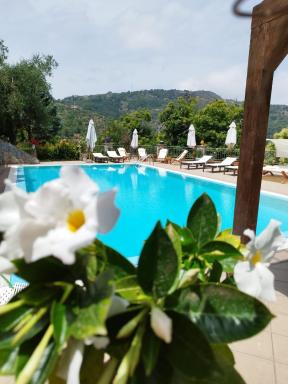 Borgo San Francesco - Housity