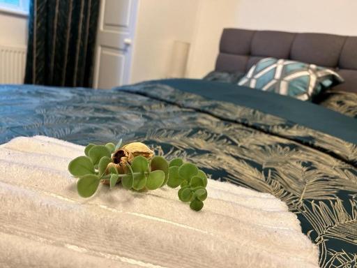 The Residence - Housity