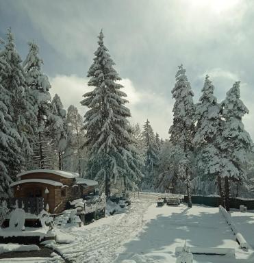 Domaine de la Mamounette - Housity