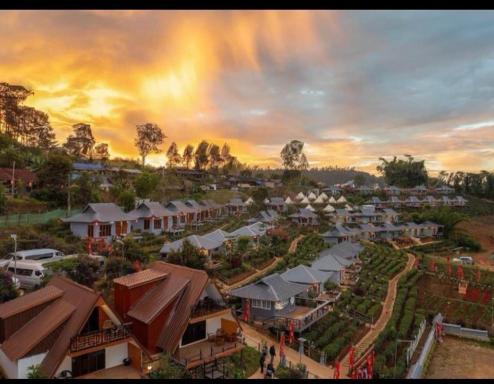 Chenfong Rakthai Resort-ไร่ชาเฉินฟงรีสอร์ท - Housity