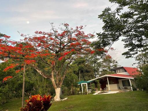 Casa Lindamargarita - Housity